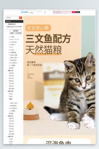 猫粮天猫详情海报模板_天然猫粮三文鱼配方橙色简约详情页