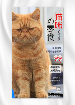黄色的桌子海报模板_猫咪零食周年庆宣传摄影图海报
