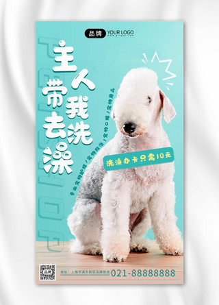 海报背景清新可爱海报模板_宠物洗澡服务可爱清新摄影图海报