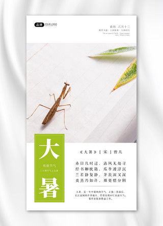 螳螂轮廓海报模板_大暑节气螳螂在纸上叶子方框摄影图海报