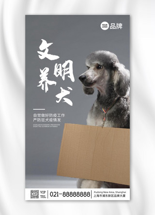 文明养犬公益简约摄影图海报