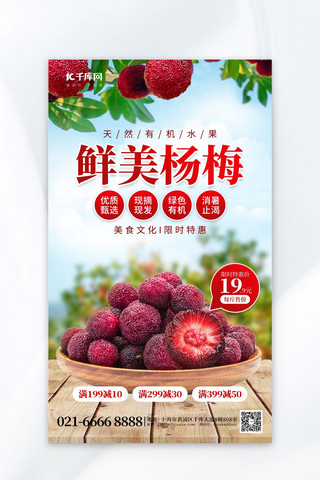 鲜美水果杨梅红色促销海报