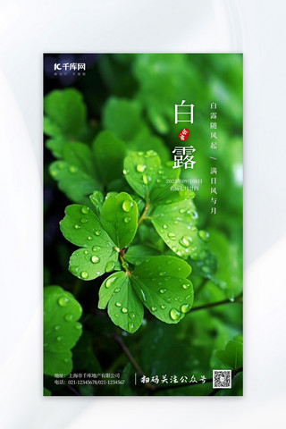 白露节气树叶雨滴绿色简约AI海报