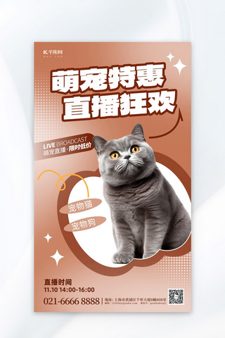 特惠献豪礼海报模板_萌宠特惠宠物猫褐色美拉德风海报