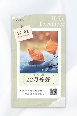 12月你好枫叶冰霜浅绿色撕纸风海报