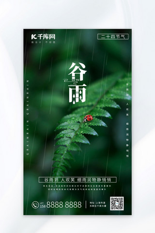 台卡模板海报模板_谷雨节气七星瓢虫绿色写实摄影图海报海报制作模板