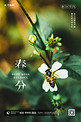 春分节气花朵蜜蜂绿色简约摄影图海报
