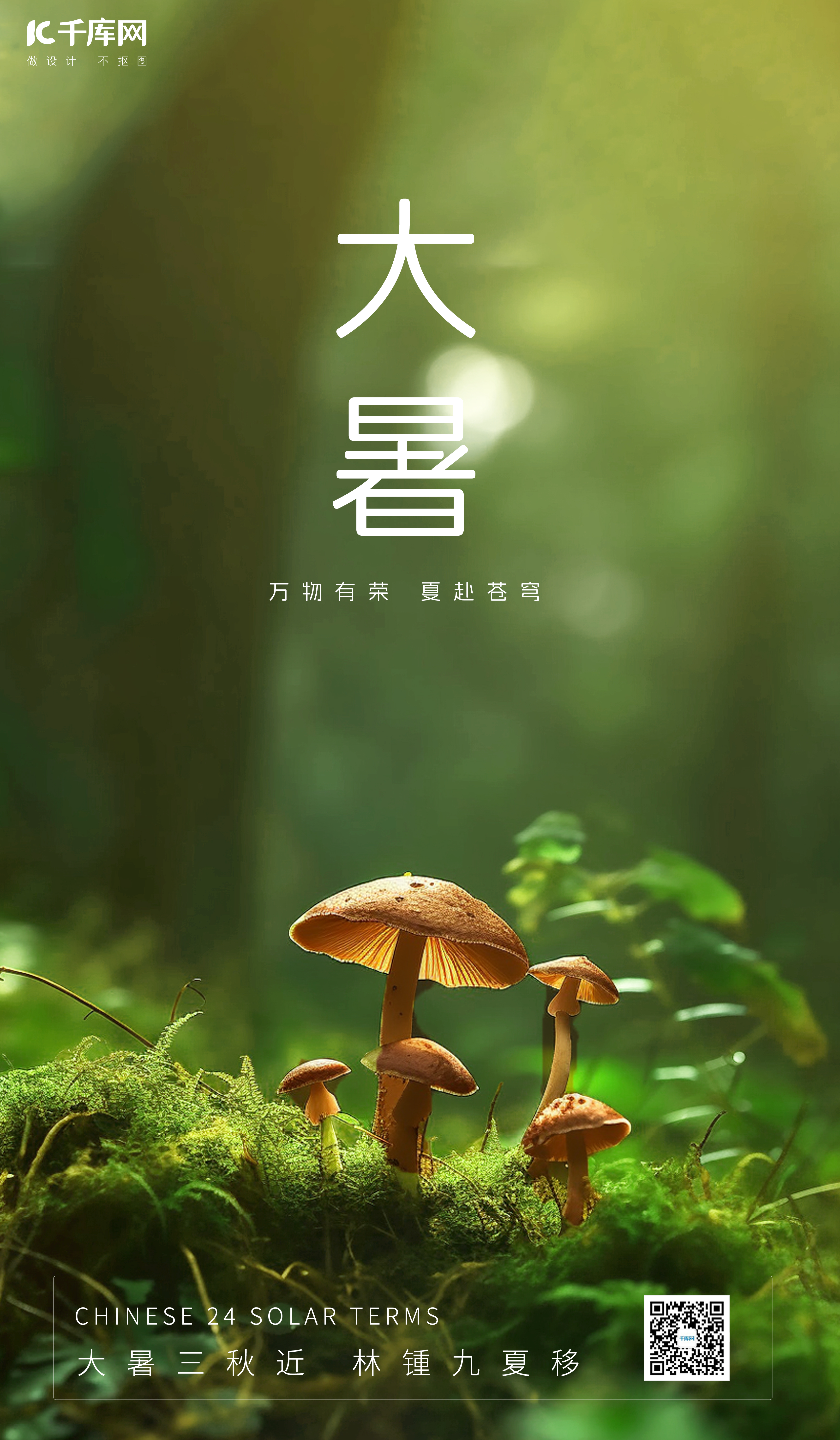 大暑节气植物小蘑菇绿色摄影图海报图片