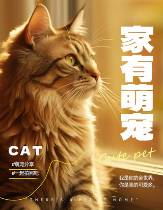 猫咪耳朵卡通海报模板_萌宠PLOG猫咪暖黄色简约小红书封面配图
