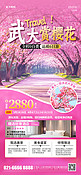 赏樱花旅游风景景点粉色简约海报海报图片