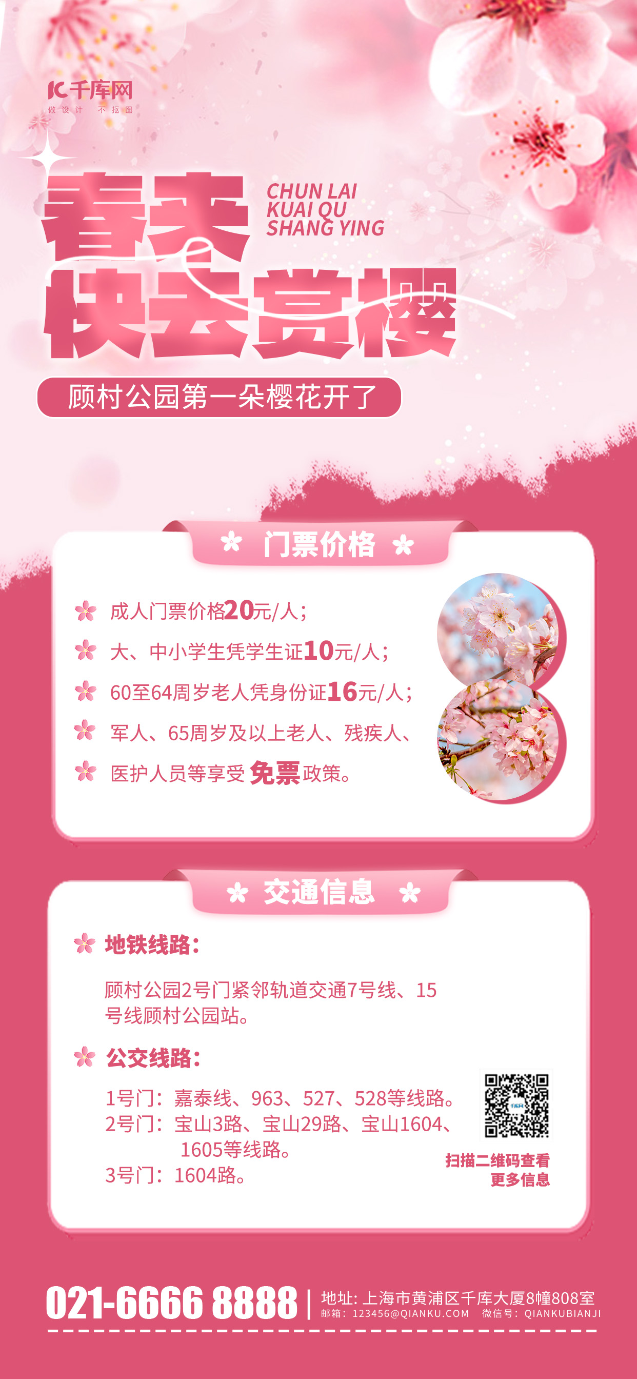 春季赏樱旅游促销宣传粉色简约风长图海报海报设计模板图片
