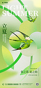 立夏二十四节气 绿色镂空摄影图海报海报背景素材