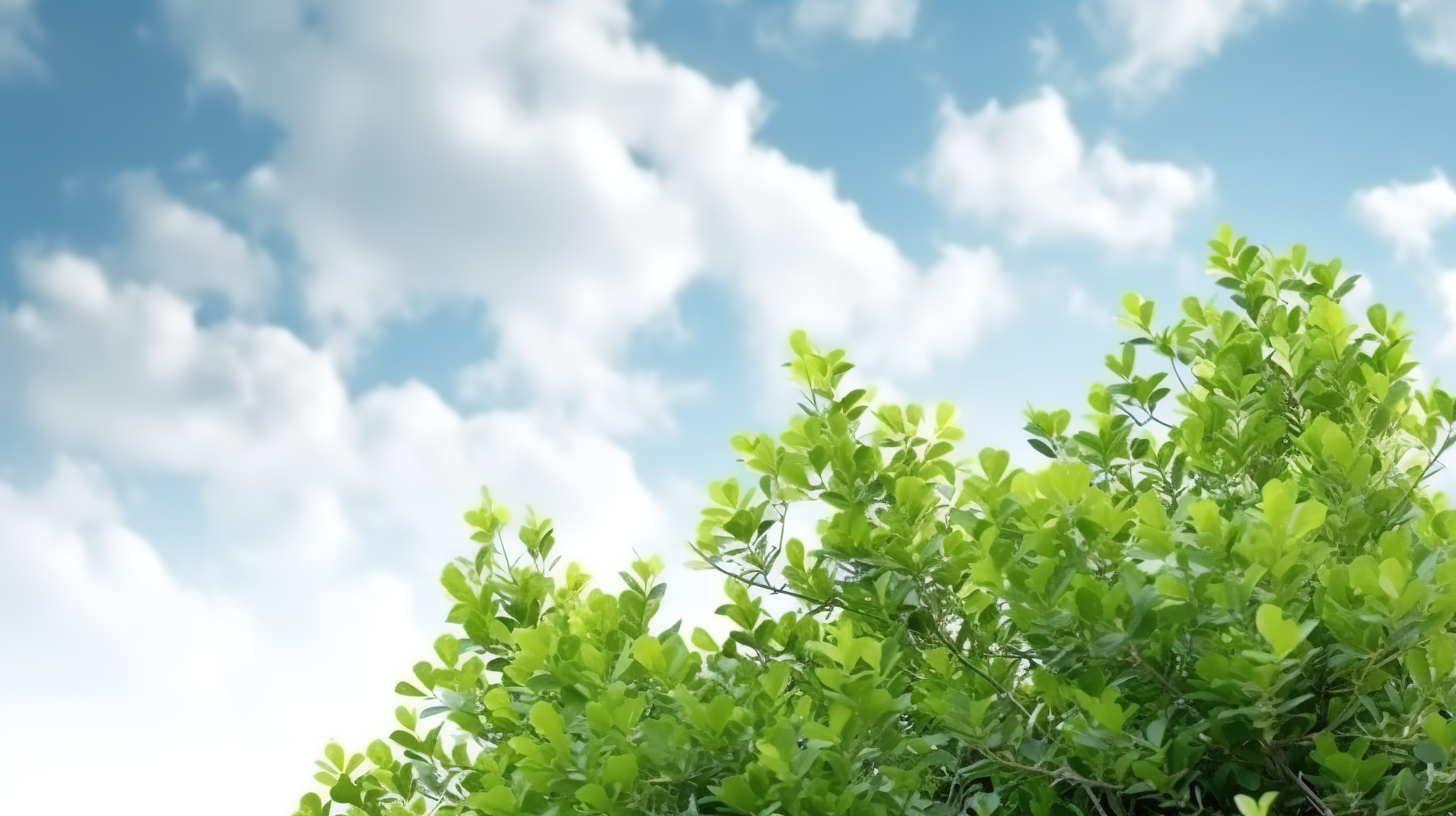绿树冠特写在多云的天空下，在 3D 插图中拥抱自然和风景图片