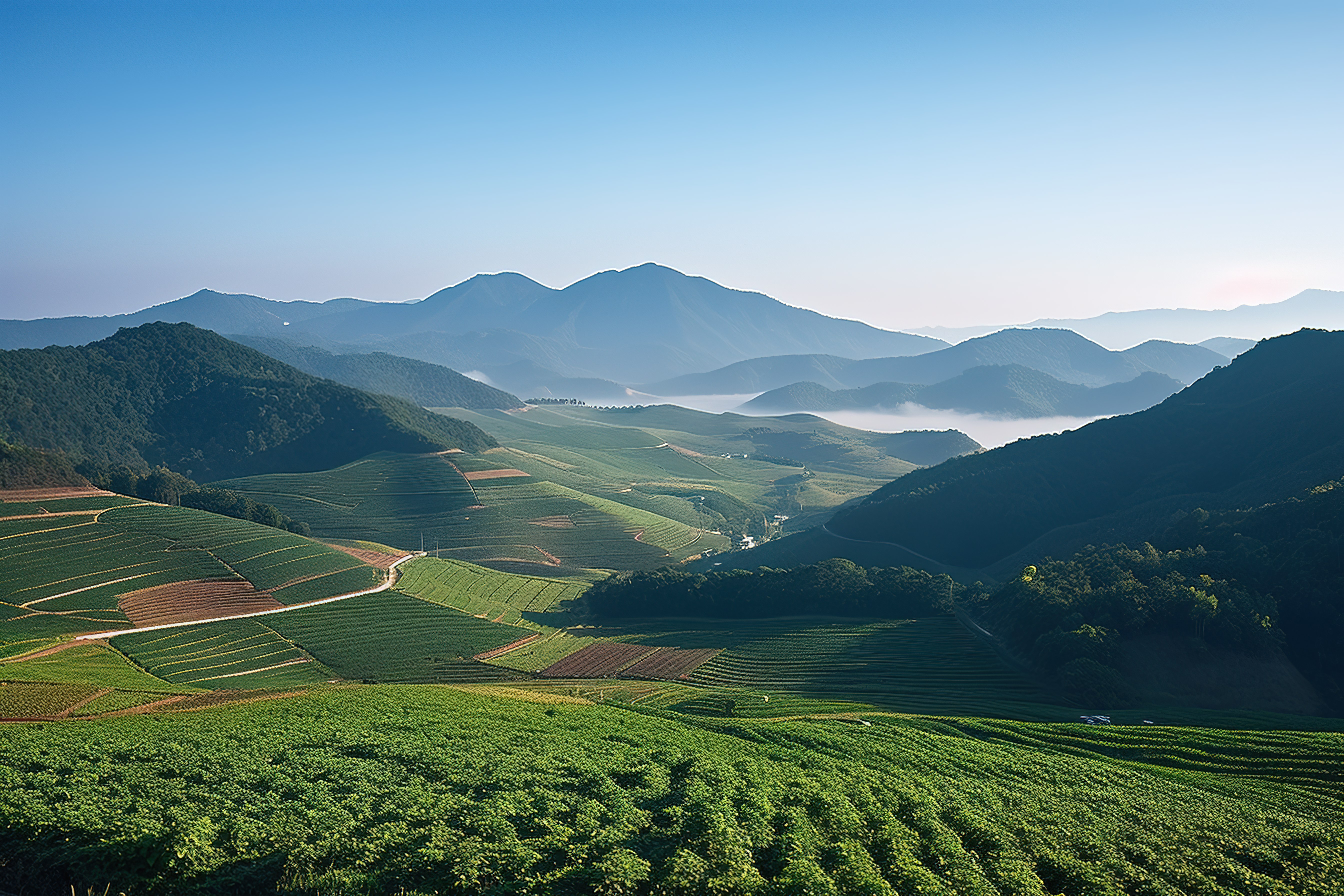 从韩国北道的 Kaek 山谷看到午后阳光下山上庄稼的景色图片