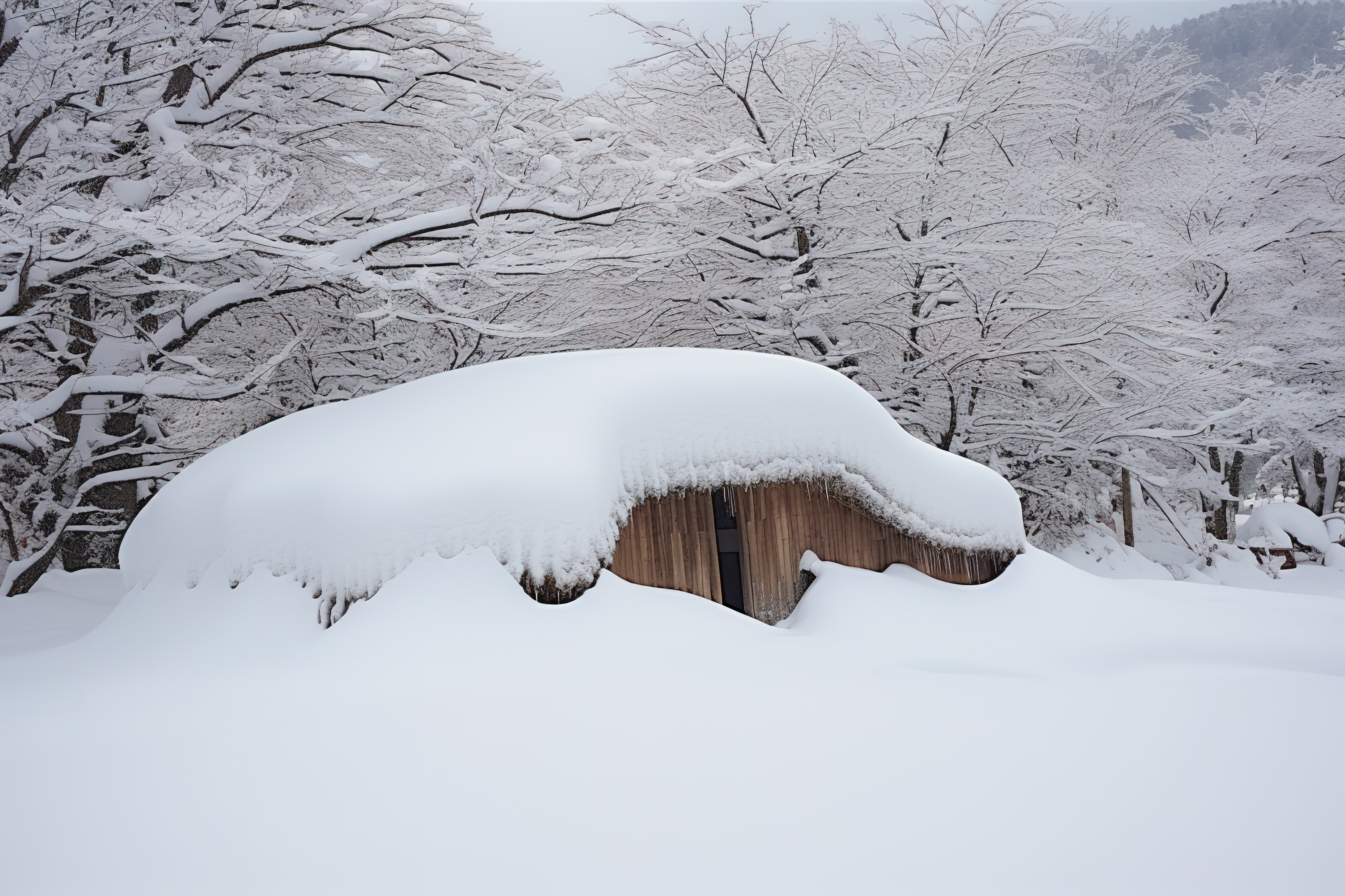 一个小棚子，里面有很多雪，树木堆得很高图片