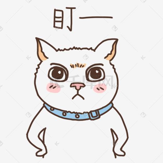 表情盯——小猫咪插画图片