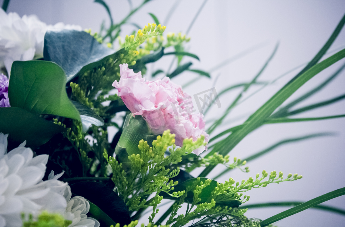 室内粉色康乃馨花束插花花瓶摄影图图片