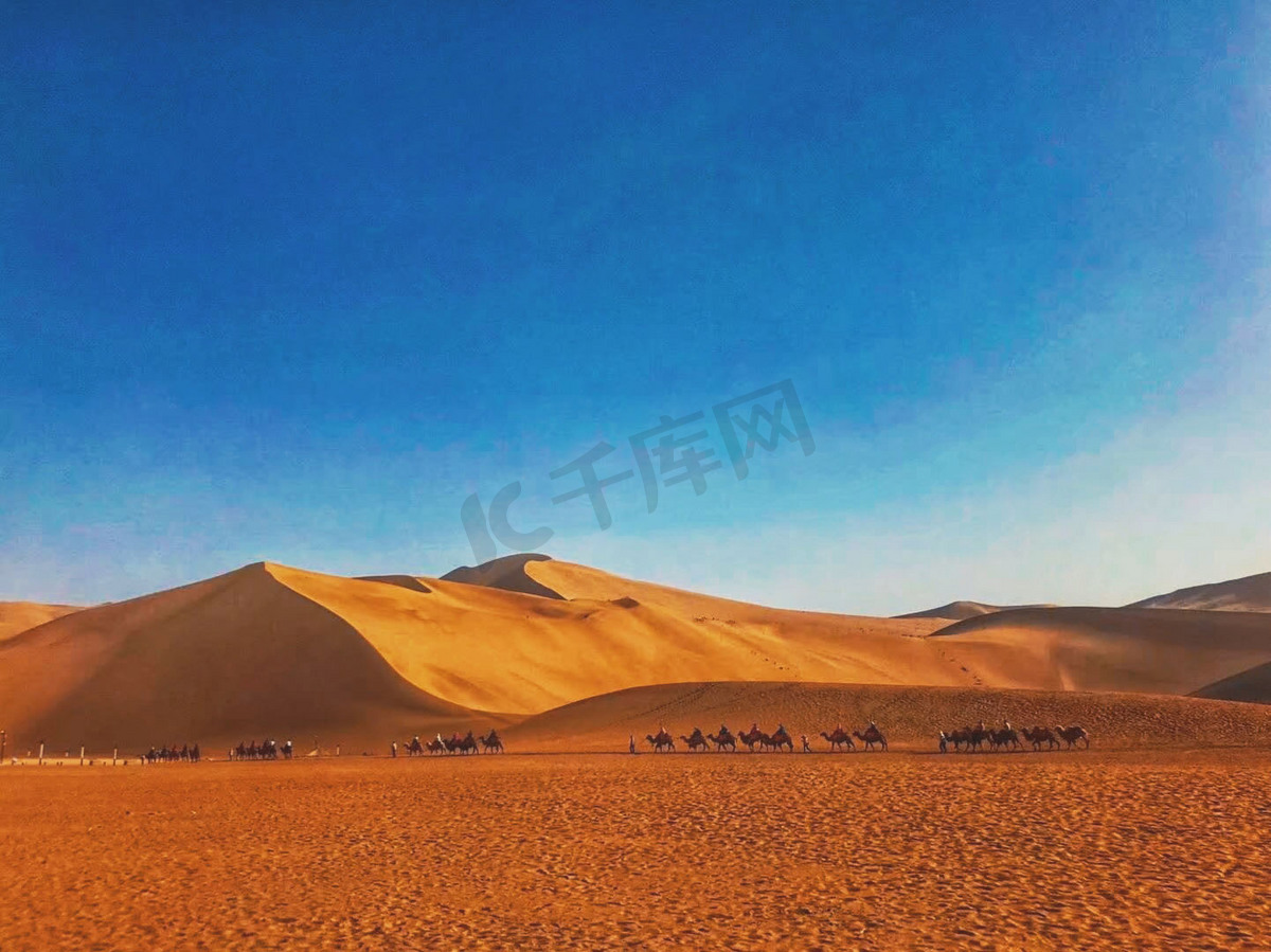 沙漠里的驼队摄影图图片