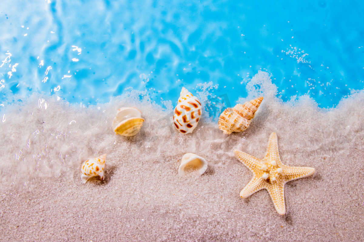 自然风景白天贝壳和水波室外贝壳和水波摄影图配图图片