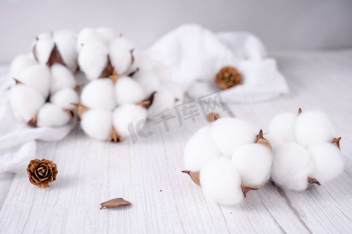 新疆棉花纯棉原料纺织摄影图配图图片