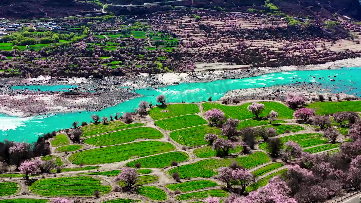 西藏林芝索松村雅鲁藏布江航拍风景农田素材图片