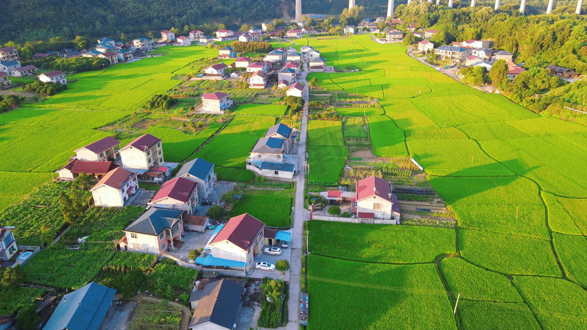 田野中得美丽乡村乡村振兴田园风光图片