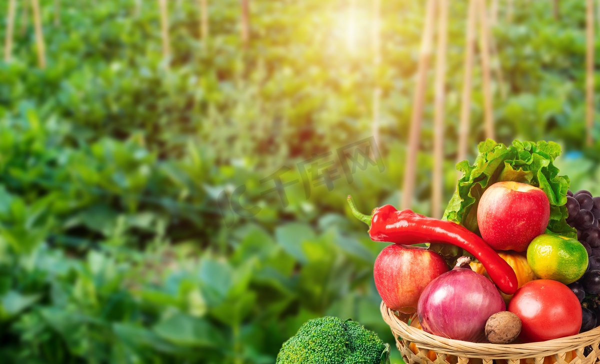 棚摘种植蔬果蔬果创意合成创意合成摄影图配图图片