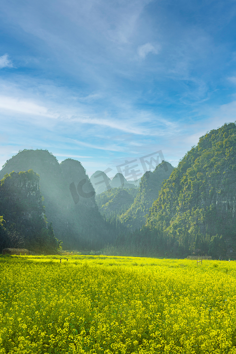 春天春游欣赏盛开的油菜花摄影图配图图片