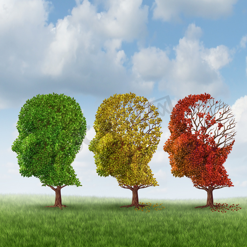 关注脑健康的脑老化树的颜色变化图图片