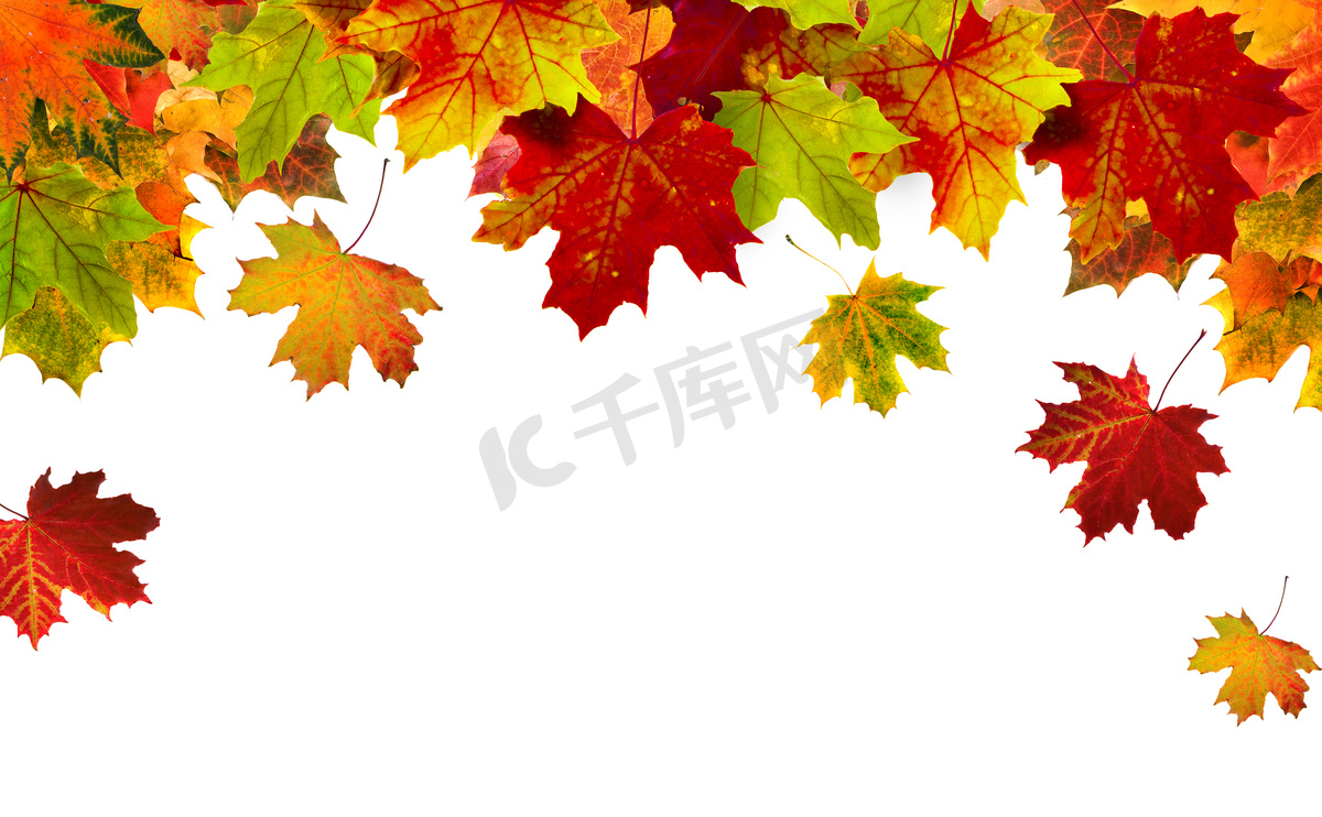 五彩缤纷的秋天的边框，叶子孤立在白色上图片