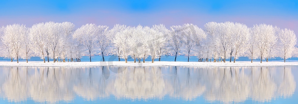 冬季的多瑙河图片