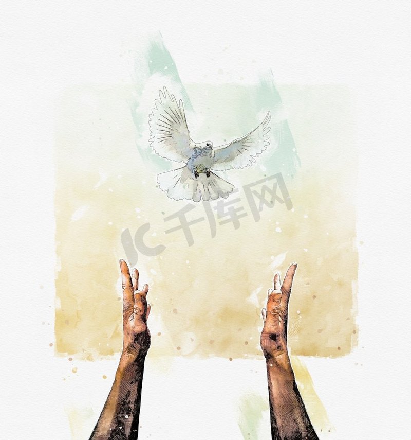 人类用双手绘制的和平概念画向一只飞翔的白鸽伸展开来。止战、和谐、安抚理念图片