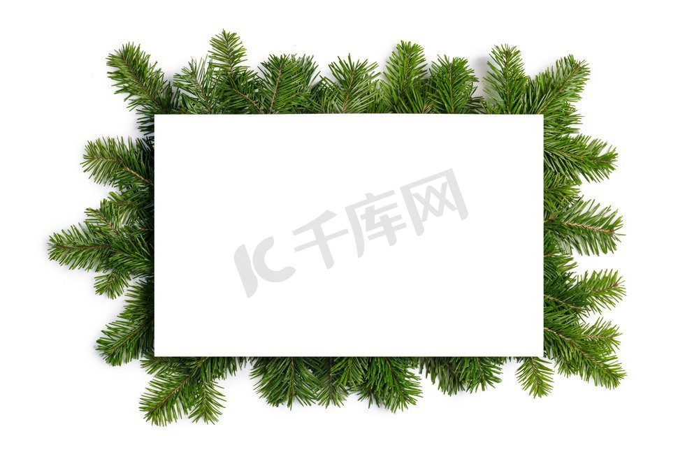 天然冷杉圣诞树边框，白色隔离，文字复制空间。白色的冷杉树枝框图片