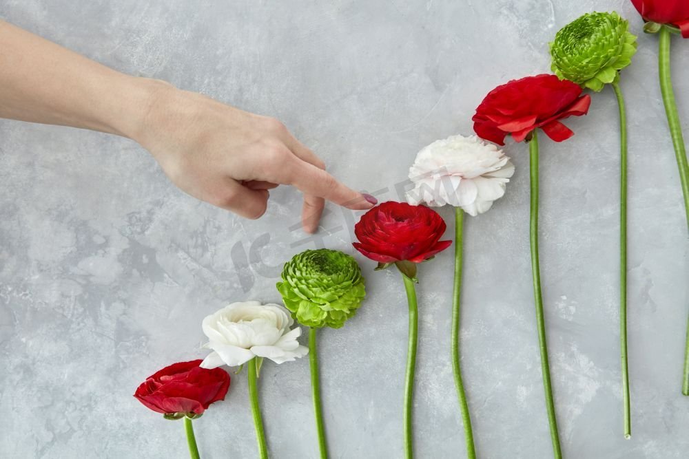 节日、节日、玫瑰、庆典图片