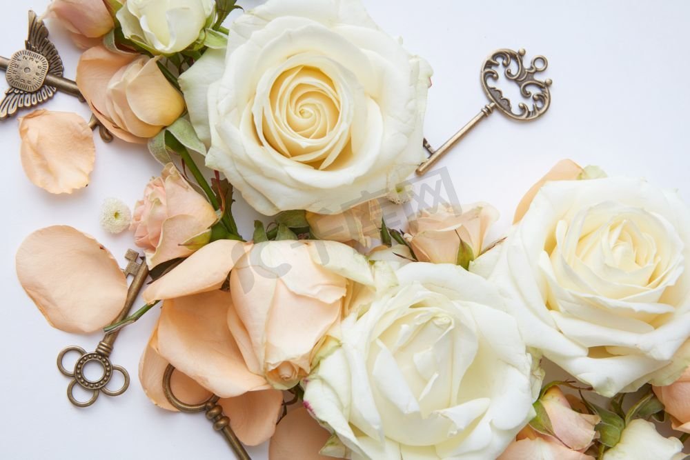 金钥匙，白玫瑰花瓣孤立在白色。带钥匙的红玫瑰图片
