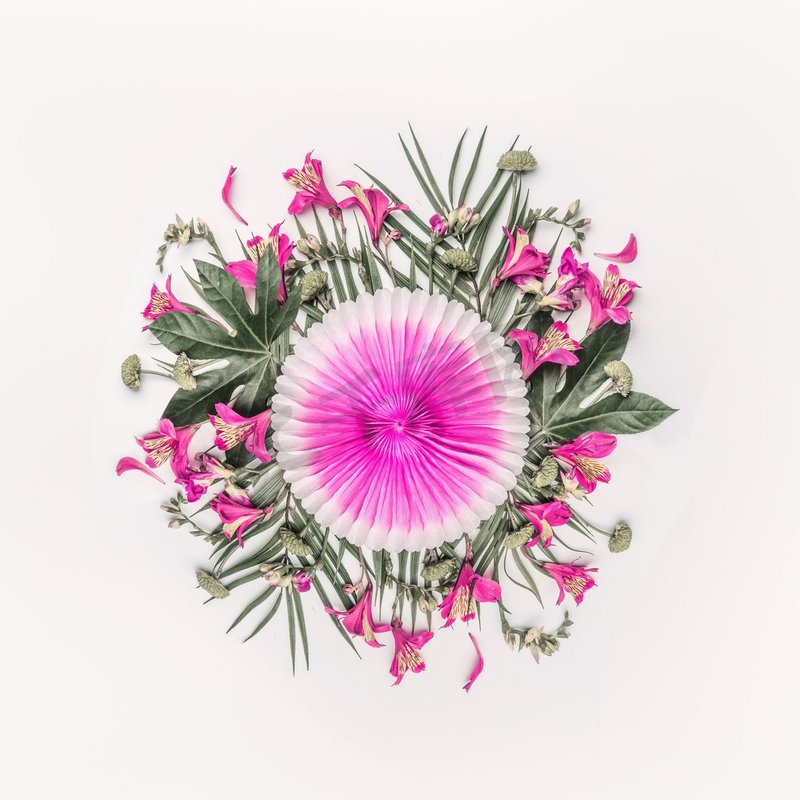 创造性的热带组成与异国情调的花，棕榈叶和粉红色党纸扇在白色背景，顶视图圆形花卉组合物图片