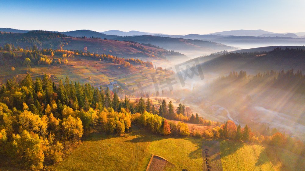 美丽的晨光穿透薄雾和森林。山上日出秋景，草甸林立，五彩缤纷。喀尔巴西亚、乌克兰、欧洲图片