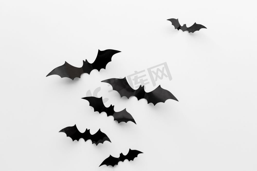 万圣节和装饰概念--黑色纸蝙蝠在白色背景上飞翔。白色背景上的黑纸蝙蝠图片