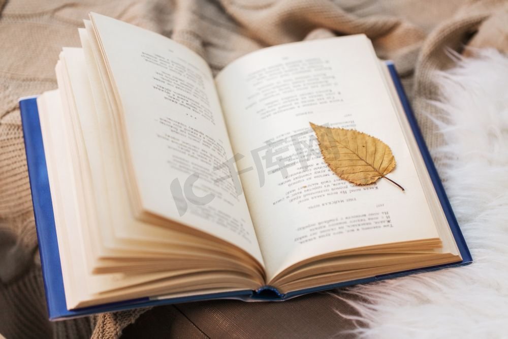 文学、阅读和诗歌概念--家里的秋叶书。家里的毛毯上有秋叶的书图片