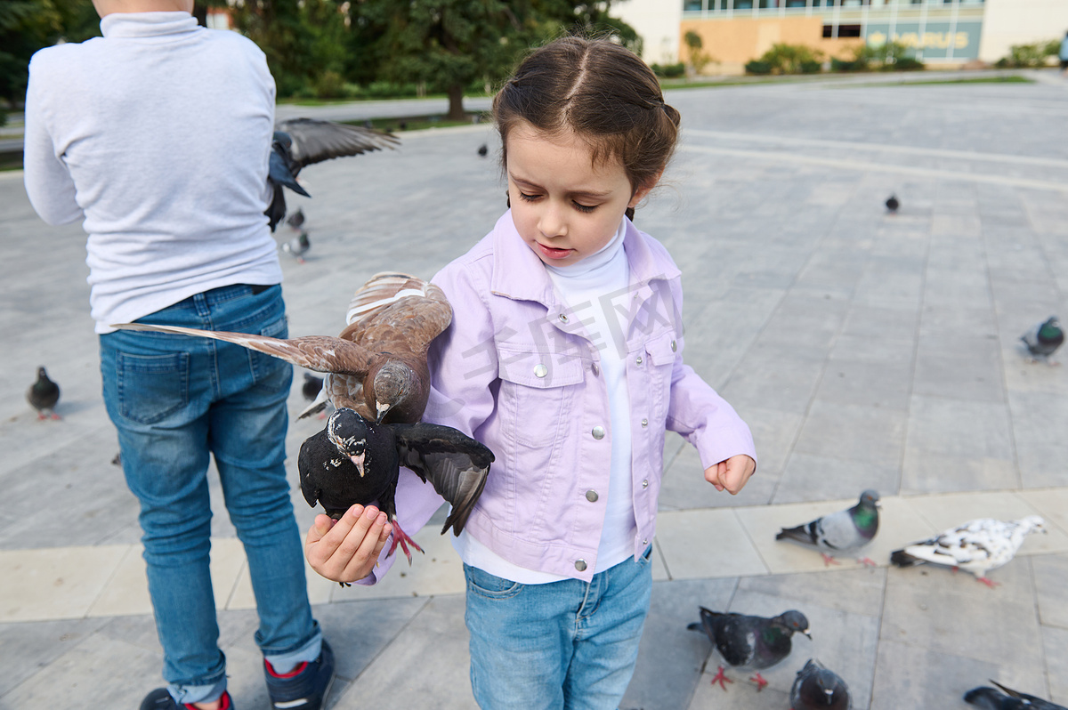 白人小女孩看着一只鸽子坐在她的胳膊上，同时在城市公园喂食飞鸽群图片