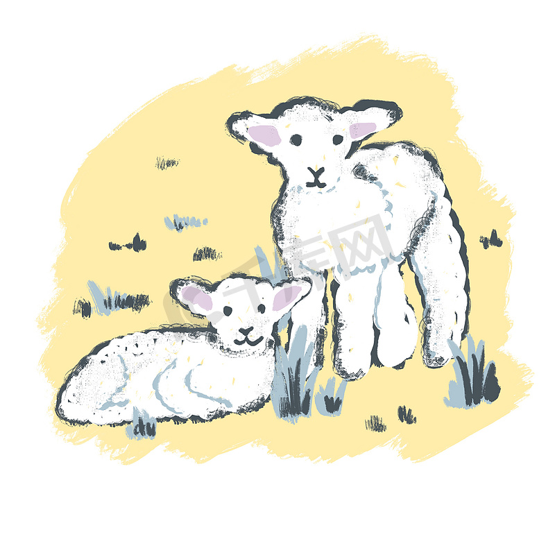 春天可爱的白色小羊手绘插图。图片