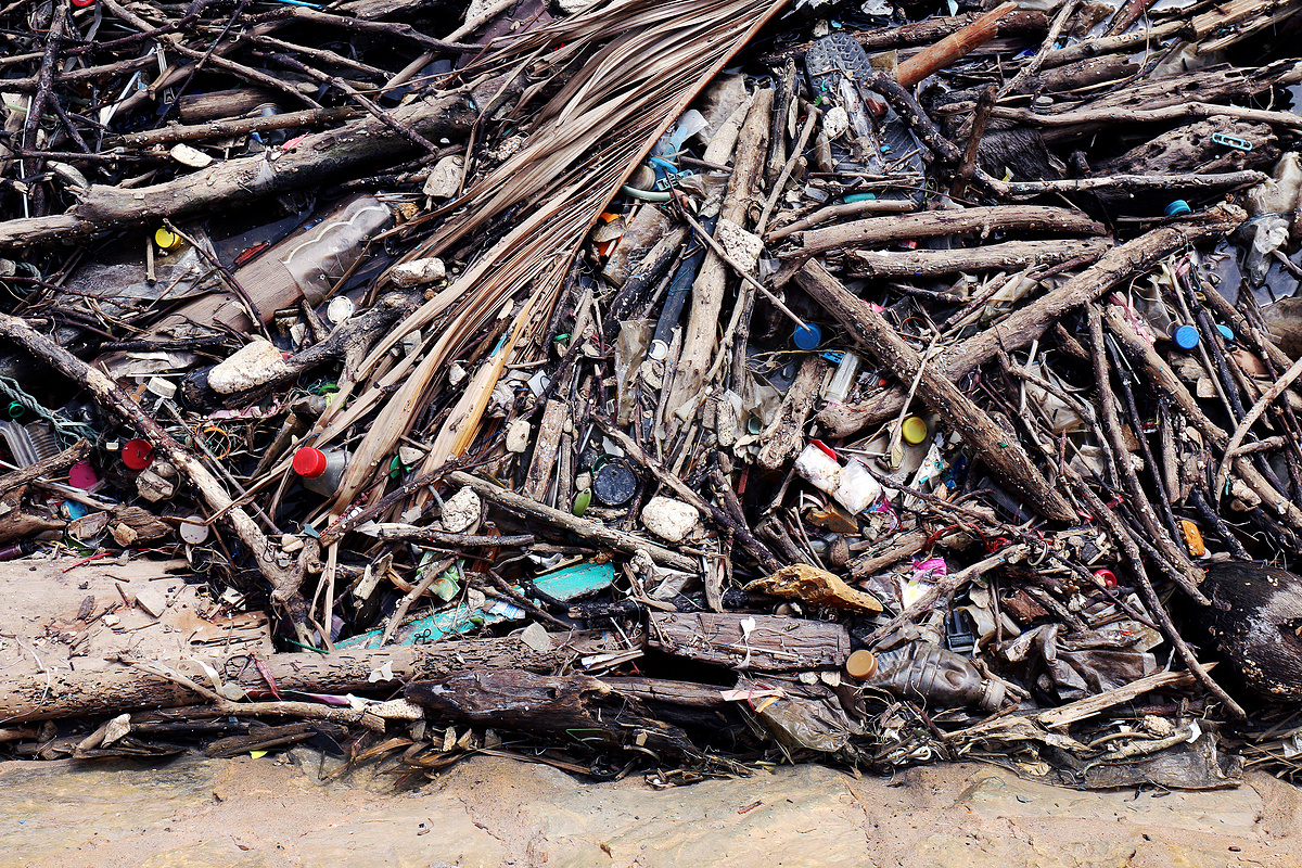 垃圾堆堆放树枝木、堆木头和塑料瓶废物和碎片漂浮在河水脏的水面上、海滩或河流的垃圾污染和环境问题图片