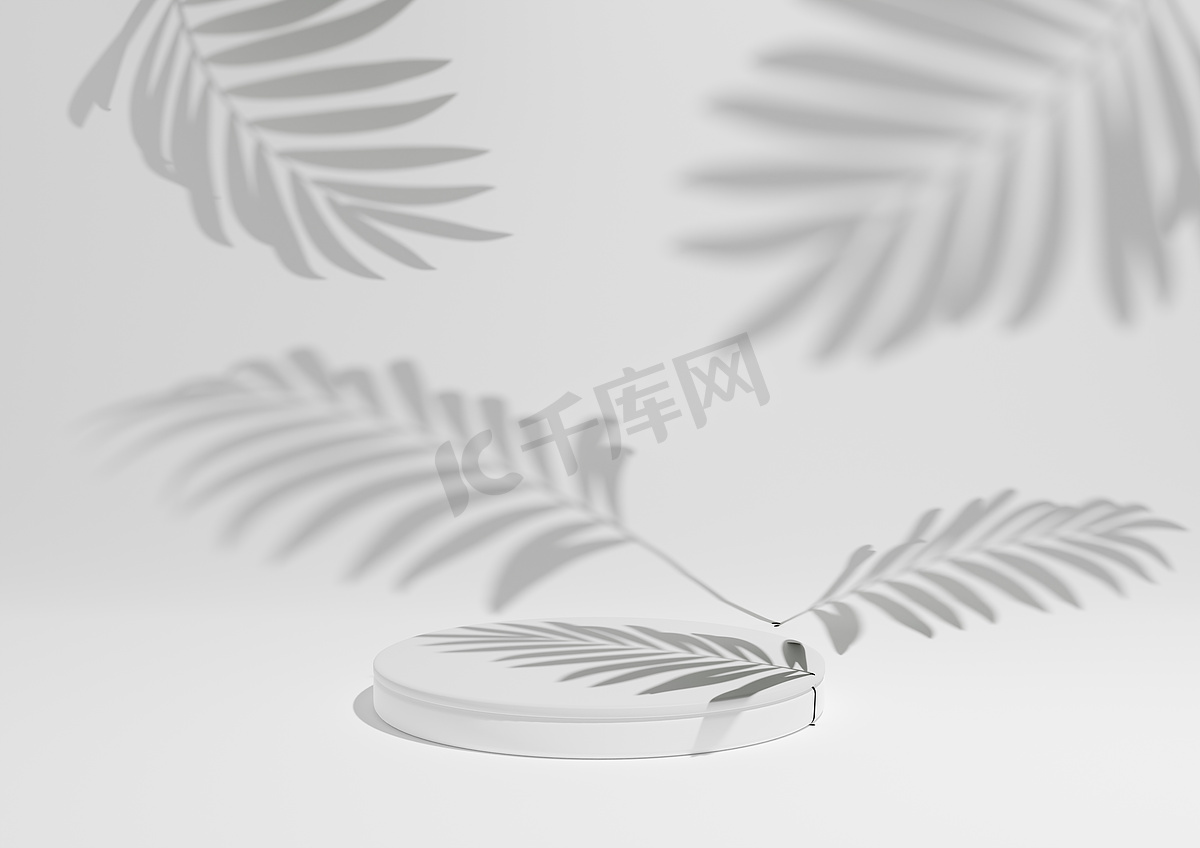 白色、浅灰色、黑色和白色，3D 渲染一个简单的、最小的产品展示组合背景，在自然产品的背景中有 ont 讲台或展台和叶子阴影。图片