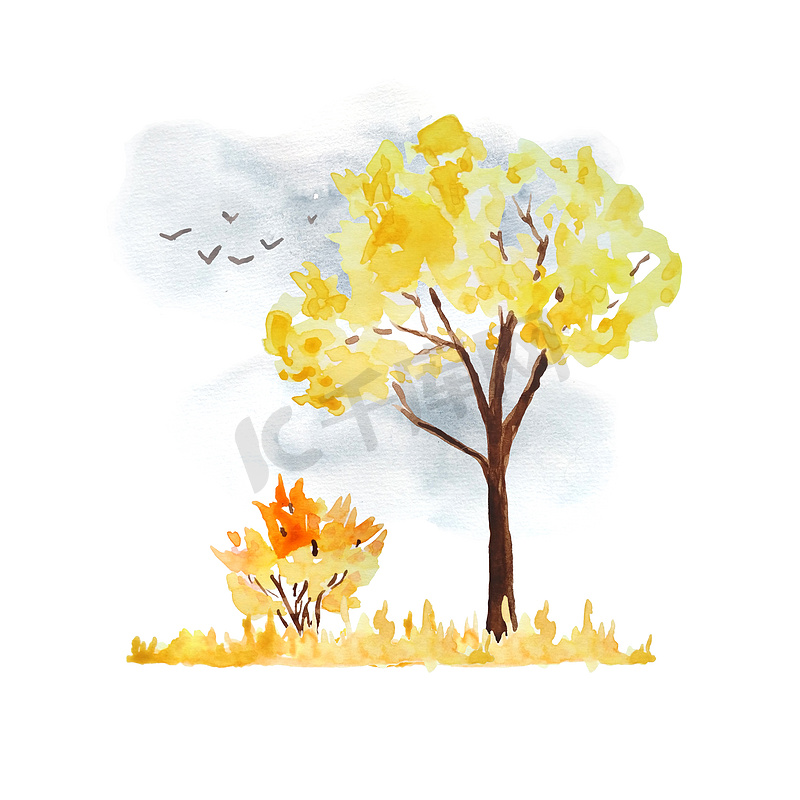 水彩手绘插图与橙黄色秋秋树、灌木灰色天空和飞鸟。图片