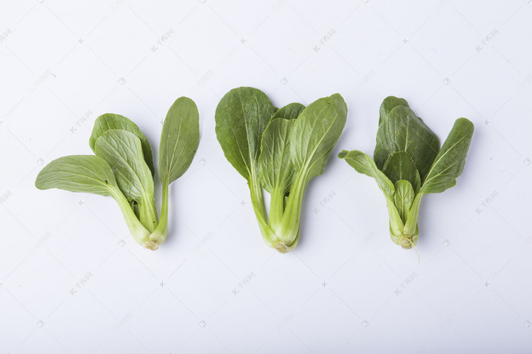  蔬菜青菜油菜摄影图 