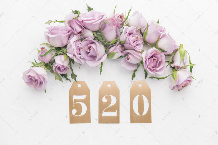 520情人节鲜花摄影图