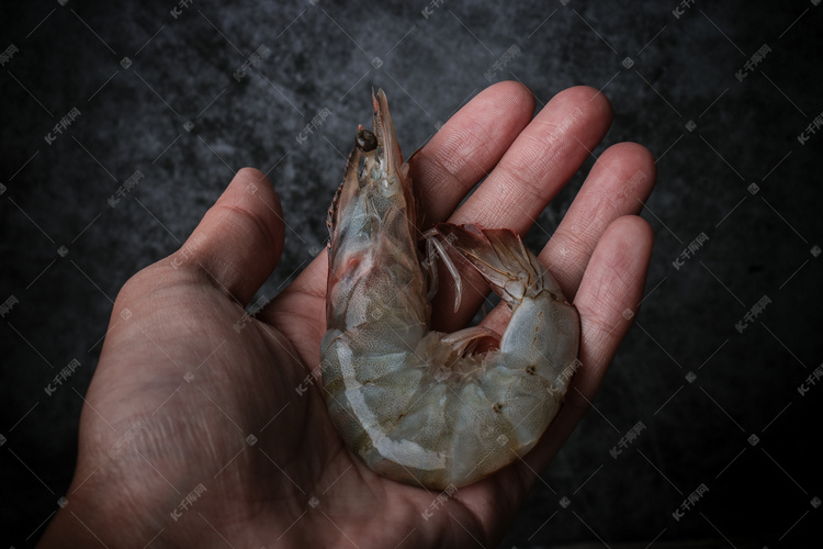 海鲜大虾摄影图