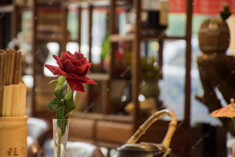 咖啡厅玫瑰摄影图