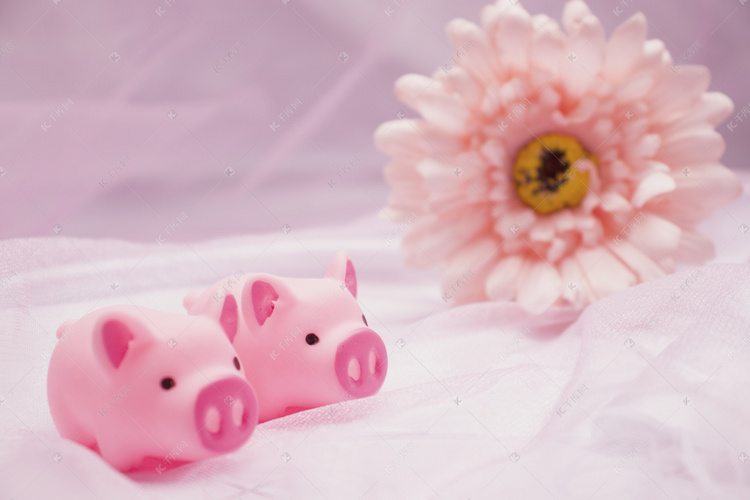 唯美粉色可爱小猪摄影图