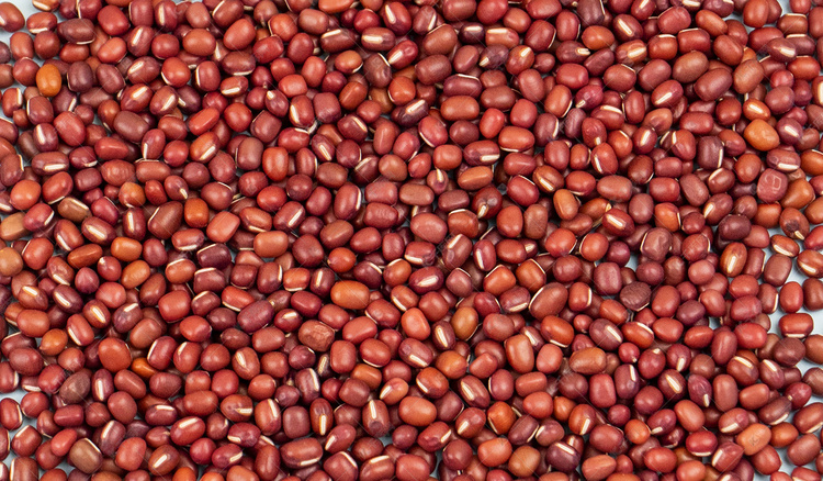 红豆豆类摄影图